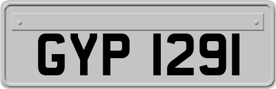 GYP1291
