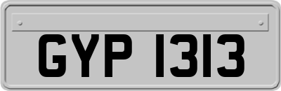 GYP1313