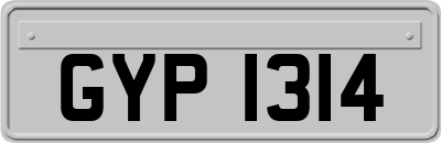 GYP1314