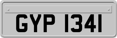 GYP1341