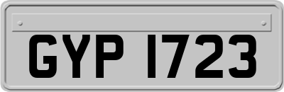 GYP1723