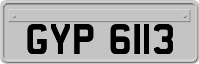 GYP6113