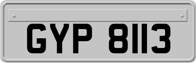 GYP8113