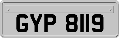 GYP8119
