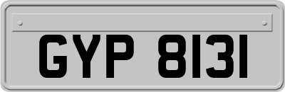GYP8131