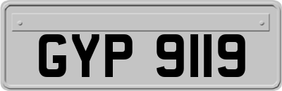 GYP9119