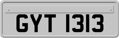 GYT1313