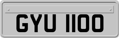 GYU1100