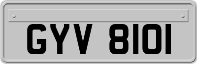 GYV8101