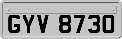 GYV8730