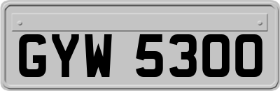 GYW5300