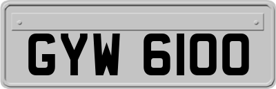 GYW6100