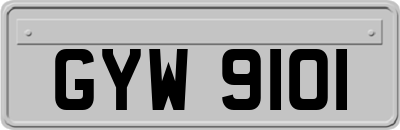 GYW9101