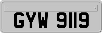 GYW9119