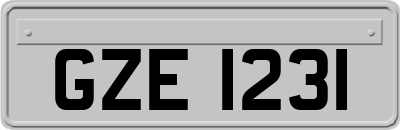 GZE1231