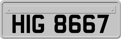 HIG8667