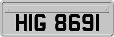 HIG8691