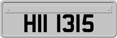 HII1315