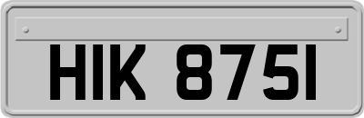 HIK8751