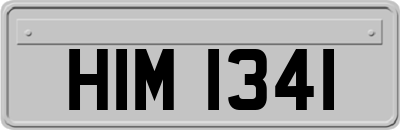 HIM1341