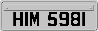HIM5981