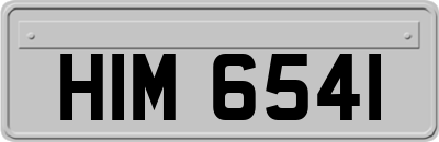 HIM6541