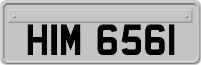 HIM6561