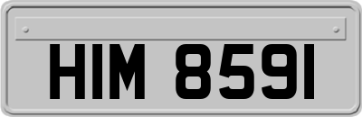 HIM8591