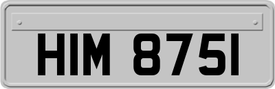 HIM8751
