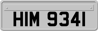 HIM9341