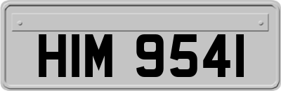 HIM9541