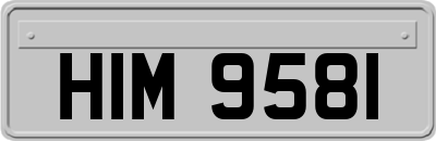 HIM9581