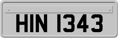 HIN1343
