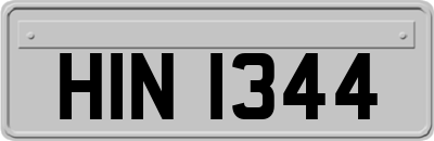 HIN1344