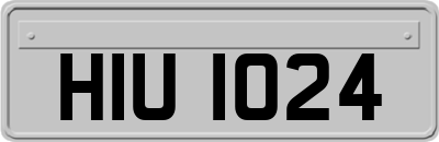 HIU1024