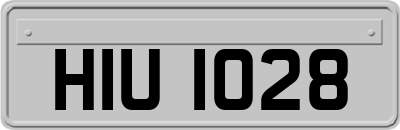 HIU1028