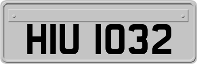 HIU1032