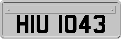 HIU1043