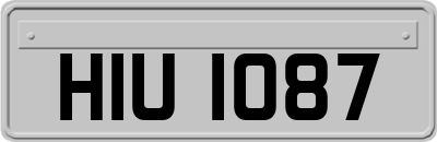 HIU1087
