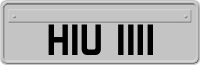 HIU1111