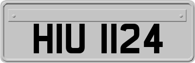 HIU1124