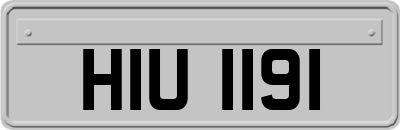HIU1191