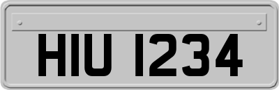 HIU1234