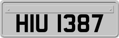HIU1387