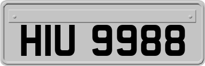 HIU9988