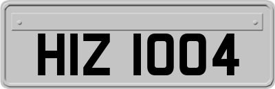HIZ1004