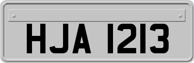 HJA1213