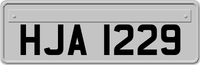 HJA1229