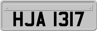 HJA1317