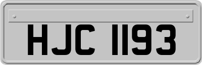 HJC1193
